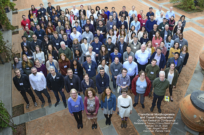 Group photo from the GRC Conference in Italy - March 2020