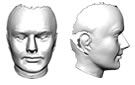 Facial mesh example